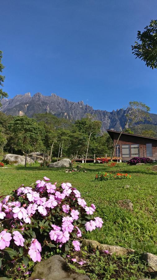 Spring Garden Hotell Kampong Kundassan Exteriör bild